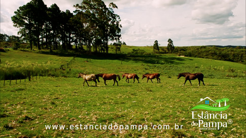 INICIO INICIO.00_04_25_14.Quadro049_40497806e7999c0ca83f1f411de1572162956873.jpg